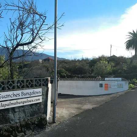 Guanches *