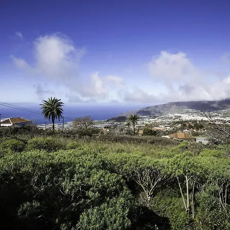 Guanches *